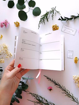 Diár 2021 - Moja druhá hlava (tá nederavá) thumb