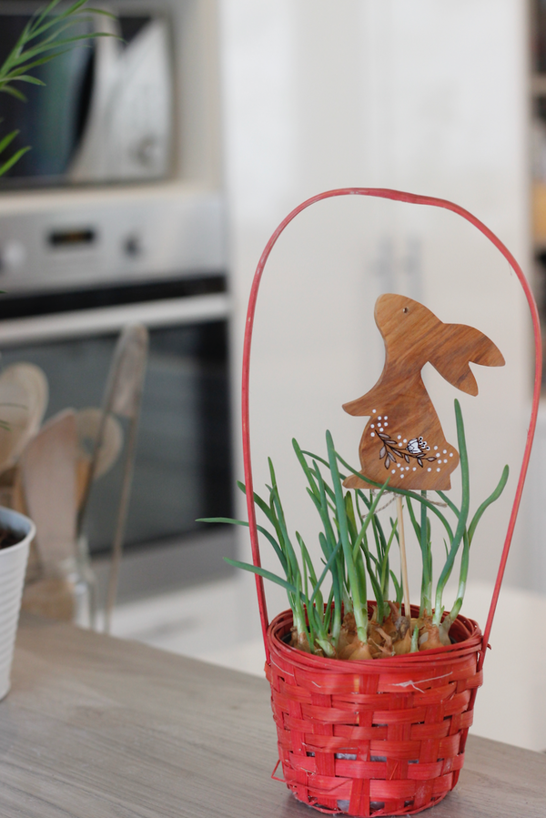 Drevené zapichovátko do kvetináča - zajko