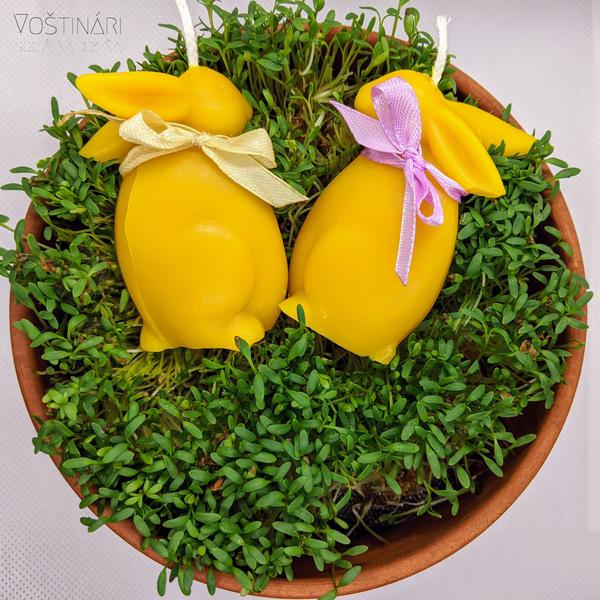 Sviečka z včelieho vosku - zajačik