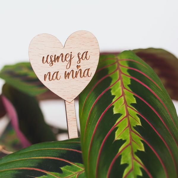 Zápich do kvetináča - usmej sa na mňa