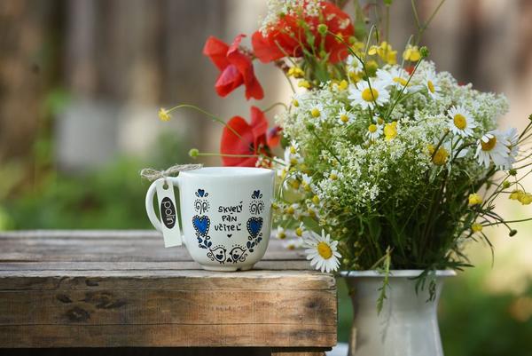 Hrnček - skvelý pán učiteľ folk