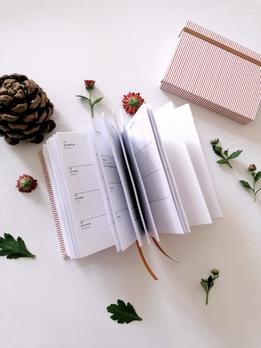 Diár 2022 - plány správnej dámy thumb