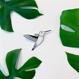 Brošňa - kolibrík