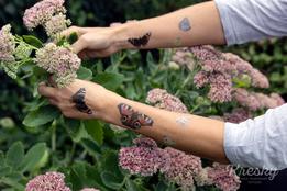 Kresky, dočasné tetovačky - Motýle thumb