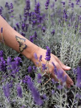 Kresky, dočasné tetovačky - Motýle thumb