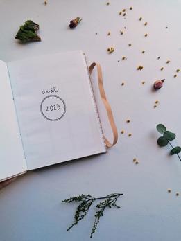 Diár 2023 - čo na srdci, to v diári thumb