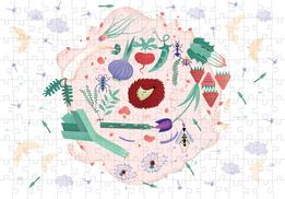 Pucle Jarná záhrana - Z.Bártová (200 p) thumb