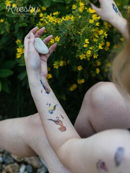Kresky, dočasné tetovačky - Vtáky thumb