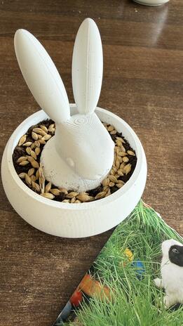 3D črepník Zajko v tráve