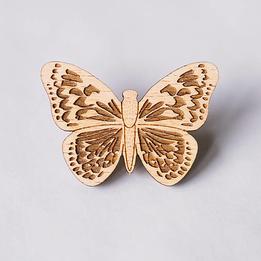 Brošňa - motýľ bledáčik thumb